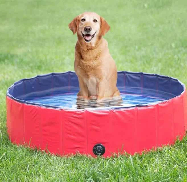 Foldable Pet Swimming Pool – Durable PVC Bathing & Play Pool for Dogs & Cats