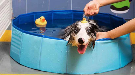 Foldable Pet Swimming Pool – Durable PVC Bathing & Play Pool for Dogs & Cats