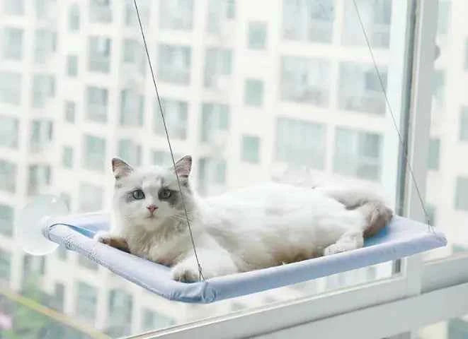 Pet Window Hammock – Cat Hanging Bed with Strong Suction Cups | Cozy Sunbathing Seat for Indoor Cats