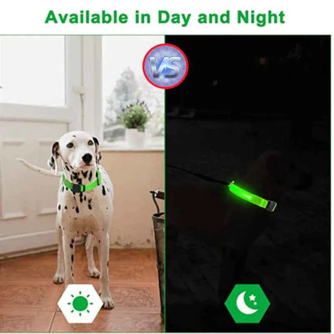 LED Adjustable Dog Collar – Waterproof Blinking Glow Safety Light for Pets