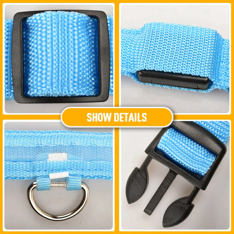 LED Adjustable Dog Collar – Waterproof Blinking Glow Safety Light for Pets