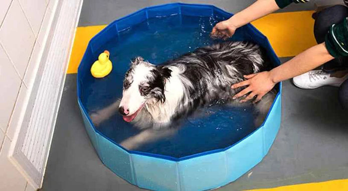 Foldable Pet Swimming Pool – Durable PVC Bathing & Play Pool for Dogs & Cats