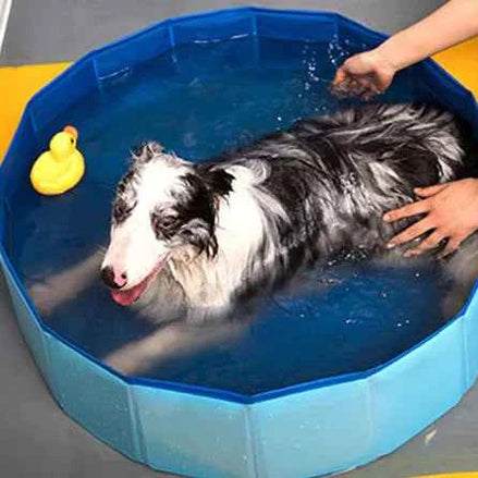 Foldable Pet Swimming Pool – Durable PVC Bathing & Play Pool for Dogs & Cats