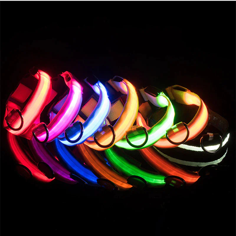 LED Adjustable Dog Collar – Waterproof Blinking Glow Safety Light for Pets