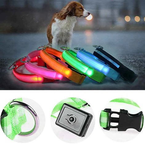 LED Adjustable Dog Collar – Waterproof Blinking Glow Safety Light for Pets