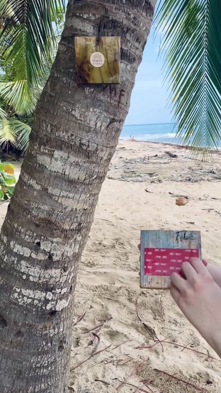 Wave & Hang Ocean Towel Hook displayed outdoors on a palm tree by the beach – handmade resin and wood hook with glass marble, tropical lifestyle demo video