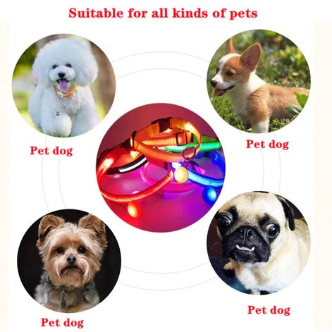 LED Adjustable Dog Collar – Waterproof Blinking Glow Safety Light for Pets
