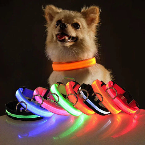 LED Adjustable Dog Collar – Waterproof Blinking Glow Safety Light for Pets