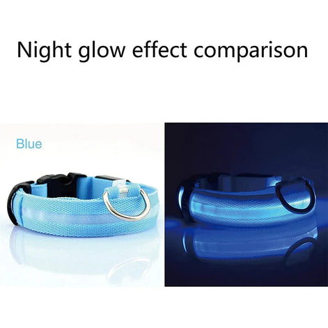 LED Adjustable Dog Collar – Waterproof Blinking Glow Safety Light for Pets